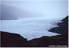 Innlandgletscher im Nebel umgeben von fast schwarzem Gestein