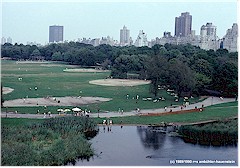 Central Park mit kleinem See im Vordergrund, Bume und Hochhuser im Hintergrund