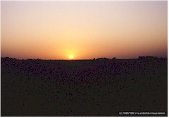 Sonnenuntergang ber der Prrie