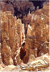Einzelne Sandsteinsulen, genannt "Hoodoos"