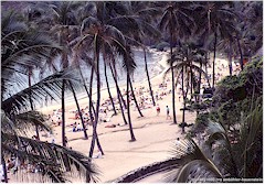 Sandstrand mit Palmen