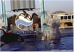 Orca schleudert Trainer durch die Luft