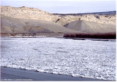 Winterliches Flussbett im Dinosaur National Monument in Colorado