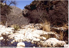 Wasserfhrender Fluss in der Wste