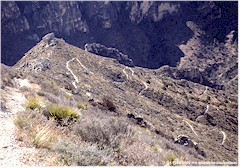 Wanderweg in den Guadalupe Mountains