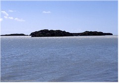 Baumbewachsene Insel im Everglades NP