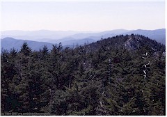 Blick ber die rollenden Hgel des Great Smoky Mountains NP