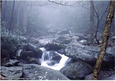 Kleiner Fluss in dunstigem Wald im Great Smoky Mountains NP
