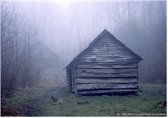 Einsame Waldhtten in dunstigem Wald im Great Smoky Mountains NP