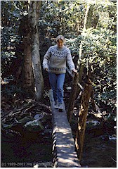 Susanne balanciert ber eine Baumstammbrcke im Great Smoky Mountains NP