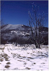 Neuschnee im Great Smoky Mountains NP