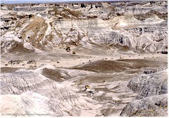 Wstenlandschaft im Petrified Forest NP