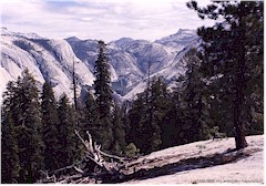 Aussichtspunkt im Yosemite NP