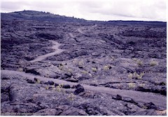 Lavafeld im Craters of the Moon NM