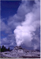 Geyser Castle im Upper Geyser Basin des Yellowstone NP