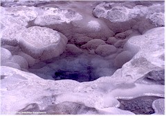 Kalkablagerungen im Upper Geyser Basin des Yellowstone NP
