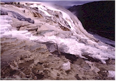 Sinter-Terrassen bei Mammoth Hot Springs im Yellowstone NP