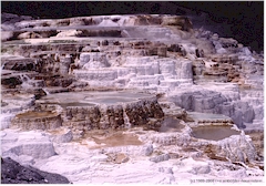 Sinter-Terrassen bei Mammoth Hot Springs im Yellowstone NP