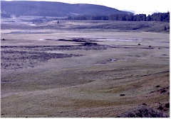 Unberhrte Landschaft im Yellowstone NP