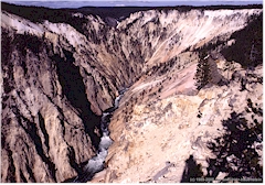 Grand Canyon of the Yellowstone im Yellowstone NP
