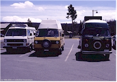 3 VW Busse mit Schweizer Nummernschilder im Yellowstone NP