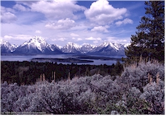 Blick auf die Bergkette des Grand Teton NP