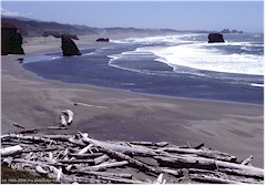 Pazifikkste in Oregon
