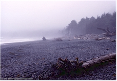 Pazifikkste im Olympic NP