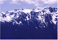 Hurrican Ridge mit Mount Olympus im Olympic NP