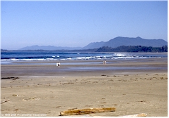 Sandstrand im Pacific Rim NP
