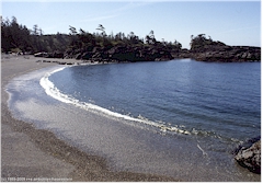 Kiesstrand im Pacific Rim NP