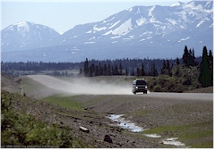 Unser "Jogi" auf dem Alaska Highway