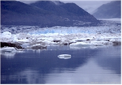 Prince William Sound bei Valdez, Alaska