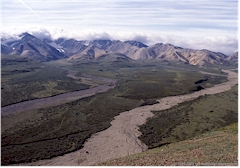 Natrlicher Flusslauf im Denali NP