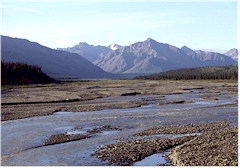 Natrlicher Flusslauf im Denali NP
