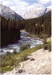 Maligne River im Jasper NP