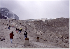 Markierungen belegen den Rckzug des Athabasca Glacier im Jasper NP