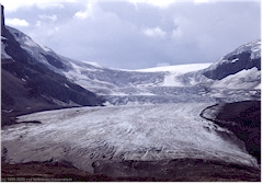 Athabasca Glacier im Jasper NP