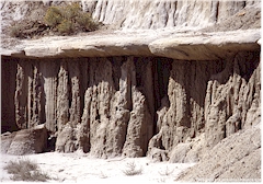 Ausgewaschener Sandstein im Theodore Roosevelt NP