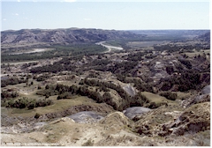 Prrielandschaft im Theodore Roosevelt NP