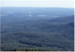 Kearsarge North Mountain, New Hampsire