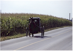 Amischer Pferdewagen im Pennsylvania Dutch Country