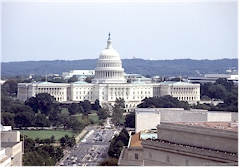 Capitol in Washington D.C.