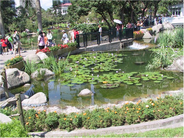 [ teich im hong kong park ]