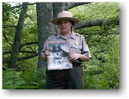 [ park rangerin mit wolfsbild ]