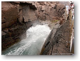 [ thunder hole im acadia NP ]