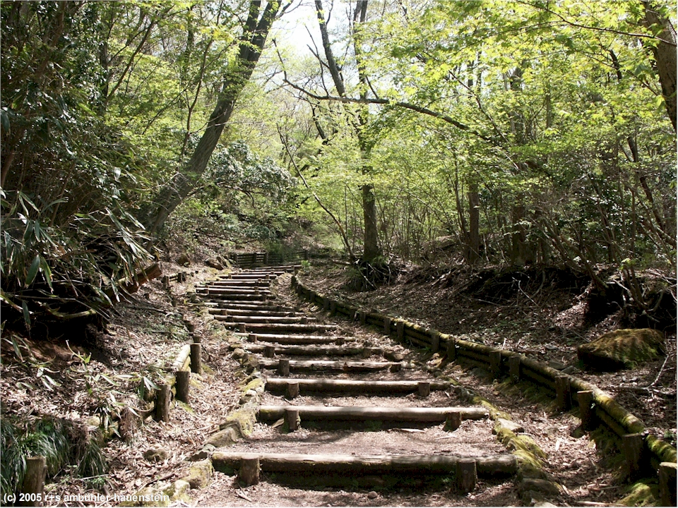 [ hakone: wanderweg bei owakudani ]
