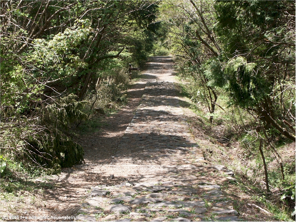 [ hakone: wanderweg bei owakudani ]