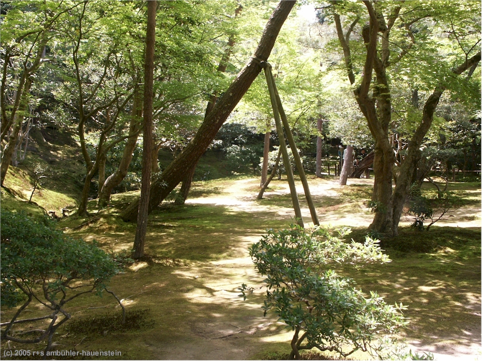 [ kyoto: schattiger garten mit moosboden beim ginkaku-ji (silbertempel) ]