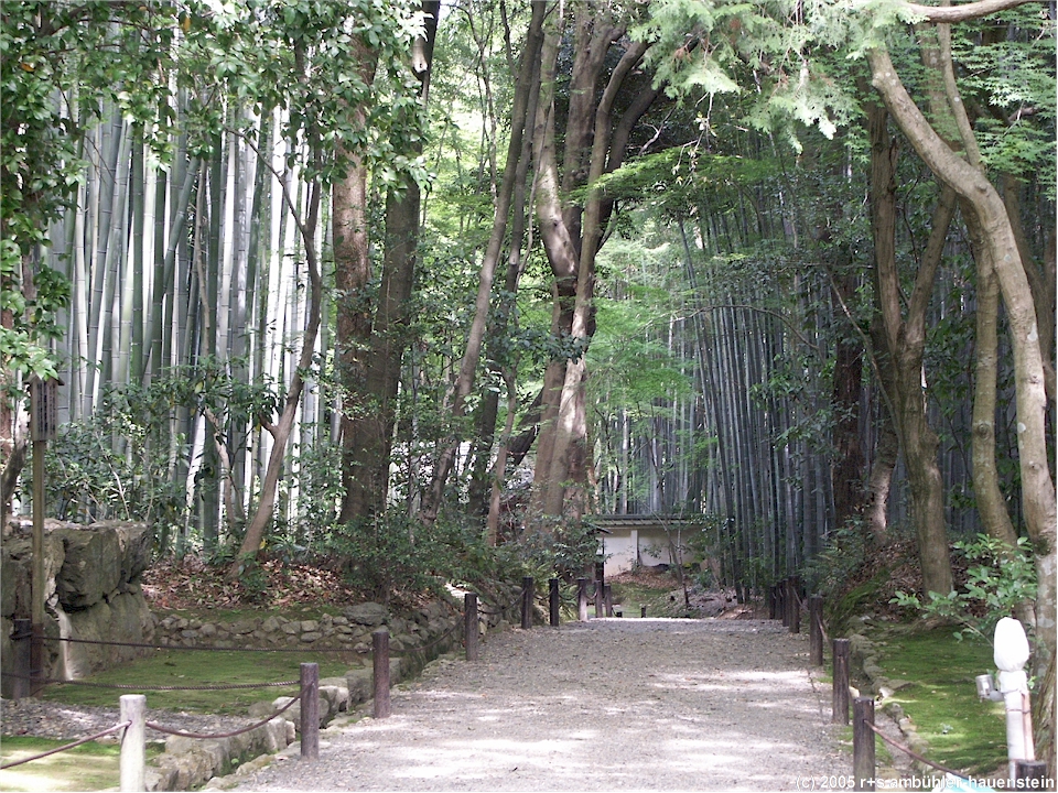 [ kyoto: weg durch bambus-wald beim jizo-ji ]